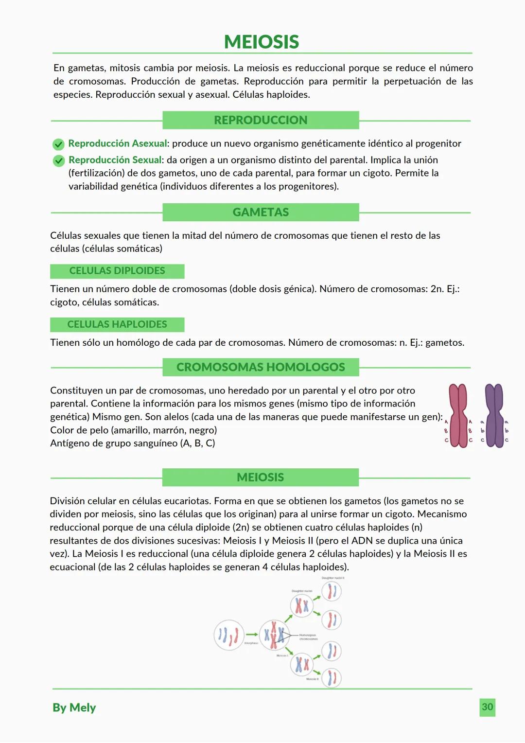 BASES QUÍMICAS DE LOS SERES VIVOS
Aniones: partículas cargadas negativamente.
Cationes: partículas cargadas positivamente.
ENLACES
lónico: e