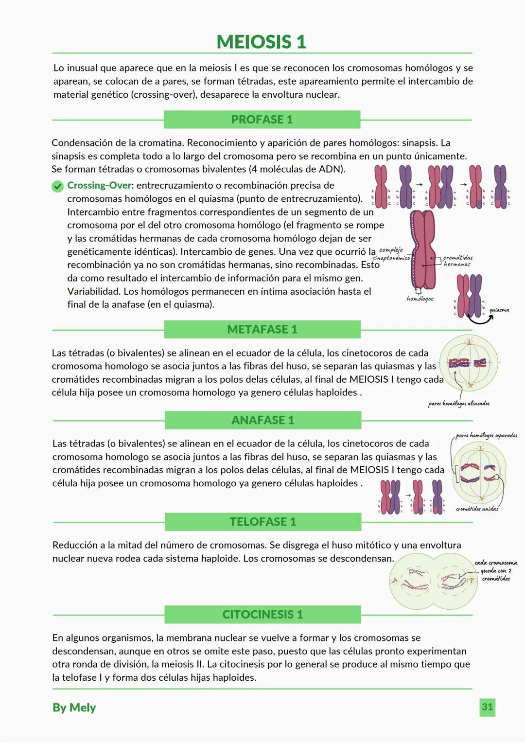 BASES QUÍMICAS DE LOS SERES VIVOS
Aniones: partículas cargadas negativamente.
Cationes: partículas cargadas positivamente.
ENLACES
lónico: e