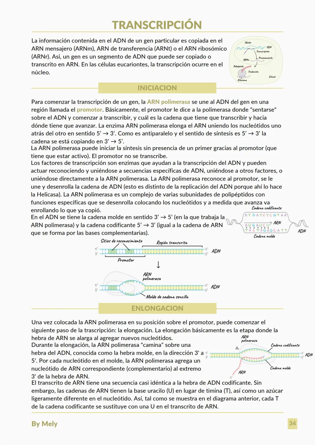 BASES QUÍMICAS DE LOS SERES VIVOS
Aniones: partículas cargadas negativamente.
Cationes: partículas cargadas positivamente.
ENLACES
lónico: e