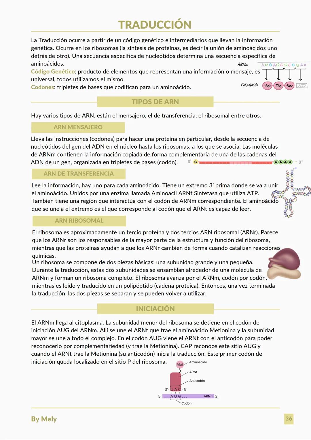 BASES QUÍMICAS DE LOS SERES VIVOS
Aniones: partículas cargadas negativamente.
Cationes: partículas cargadas positivamente.
ENLACES
lónico: e