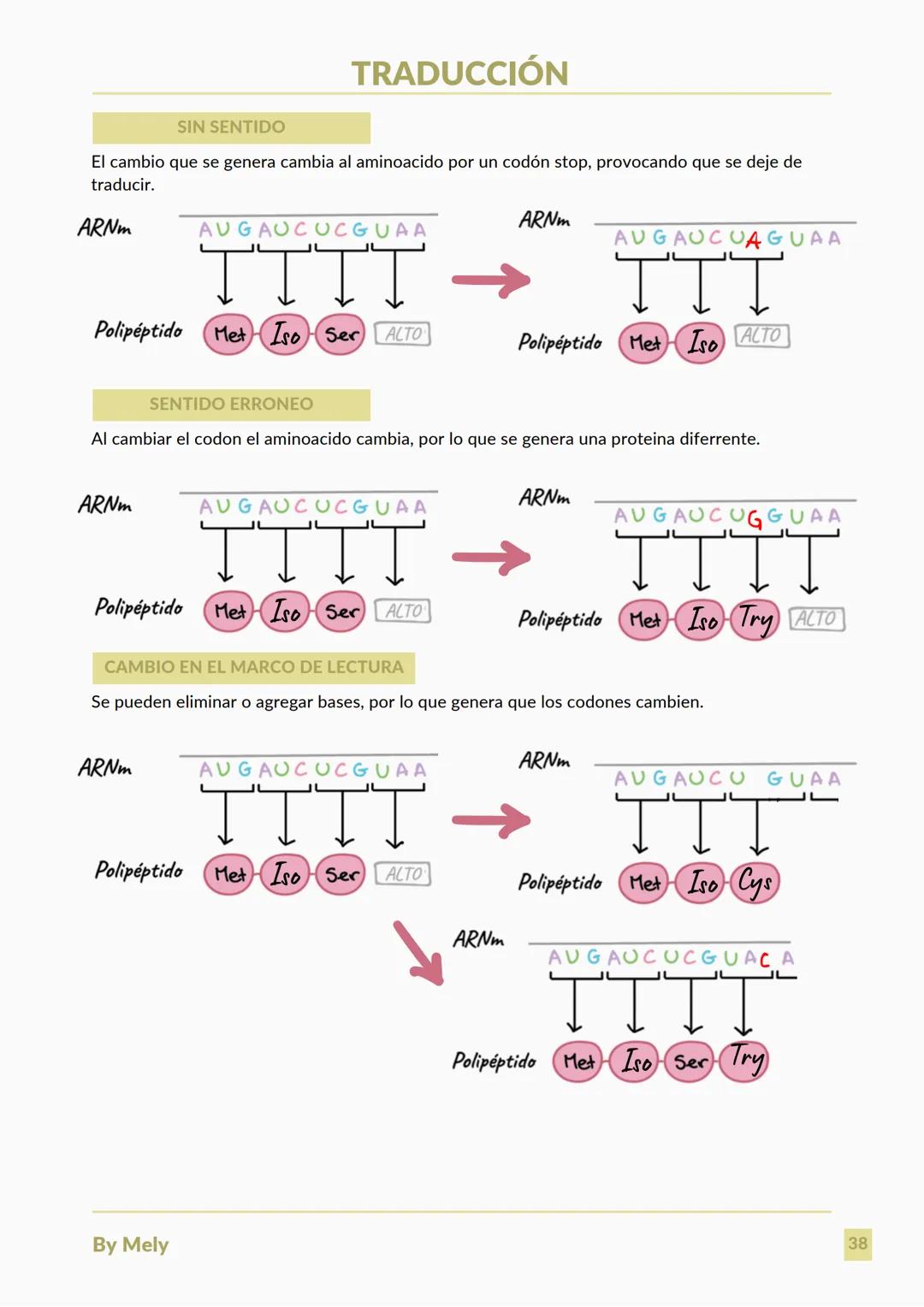 BASES QUÍMICAS DE LOS SERES VIVOS
Aniones: partículas cargadas negativamente.
Cationes: partículas cargadas positivamente.
ENLACES
lónico: e