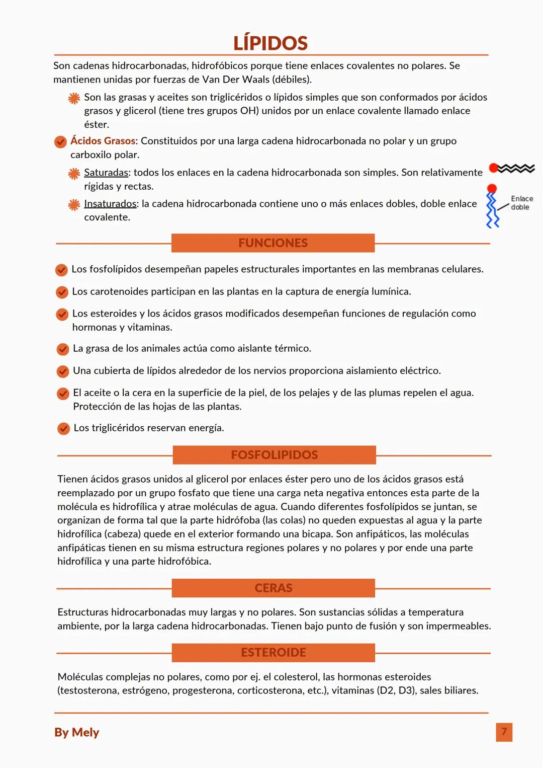 BASES QUÍMICAS DE LOS SERES VIVOS
Aniones: partículas cargadas negativamente.
Cationes: partículas cargadas positivamente.
ENLACES
lónico: e