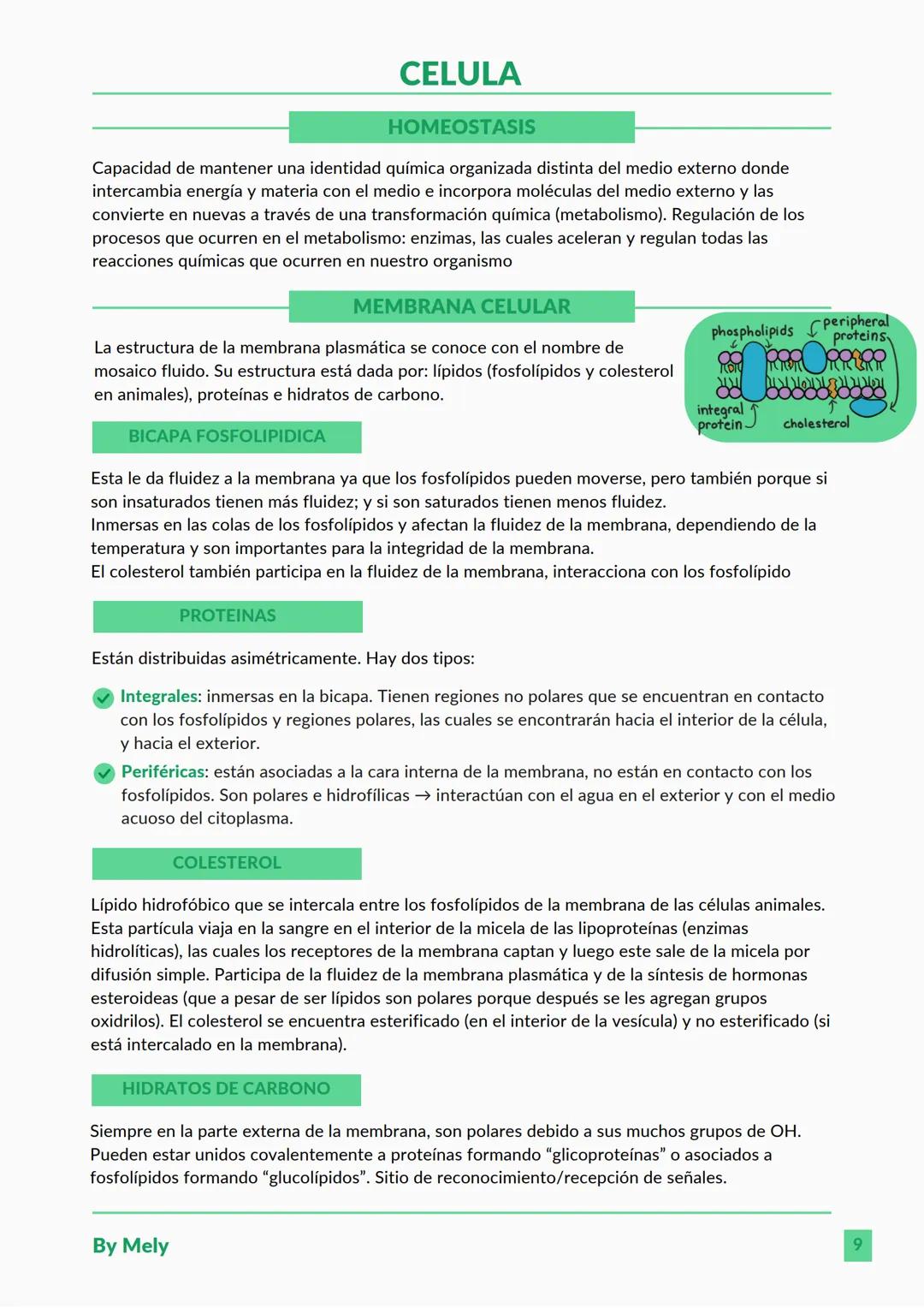 BASES QUÍMICAS DE LOS SERES VIVOS
Aniones: partículas cargadas negativamente.
Cationes: partículas cargadas positivamente.
ENLACES
lónico: e