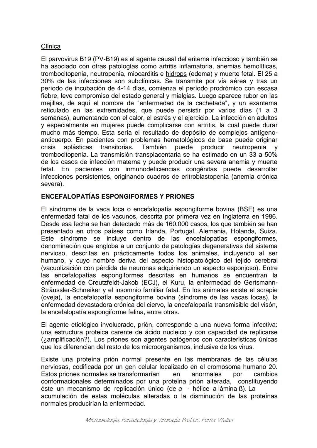 MICROBIOLOGÍA Y PARASITOLOGÍA
CARRERA: Técnico superior en enfermería
UNIDAD CURRICULAR: Microbiología y Parasitología
CURSO: 1º año "B"
DOC
