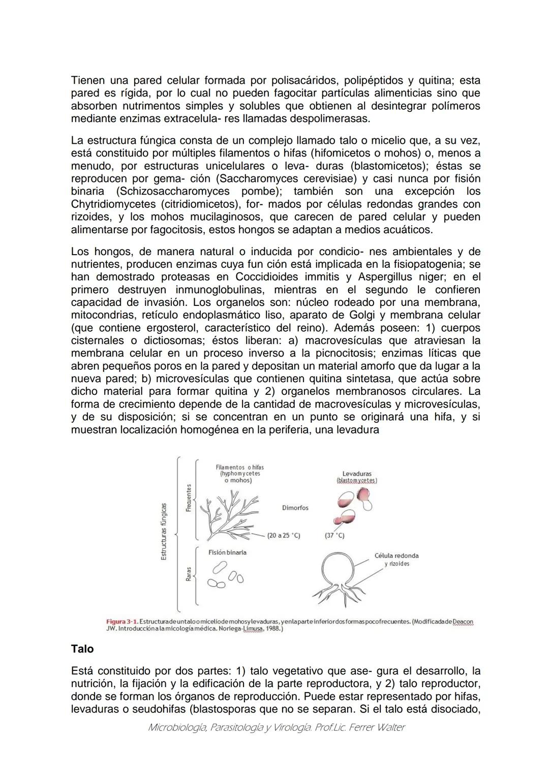 MICROBIOLOGÍA Y PARASITOLOGÍA
CARRERA: Técnico superior en enfermería
UNIDAD CURRICULAR: Microbiología y Parasitología
CURSO: 1º año "B"
DOC