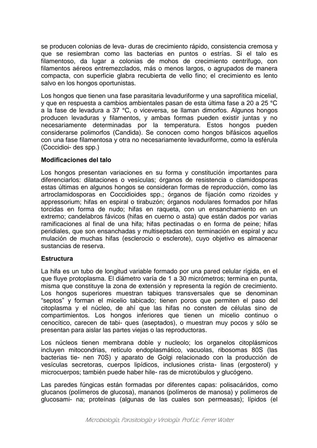 MICROBIOLOGÍA Y PARASITOLOGÍA
CARRERA: Técnico superior en enfermería
UNIDAD CURRICULAR: Microbiología y Parasitología
CURSO: 1º año "B"
DOC