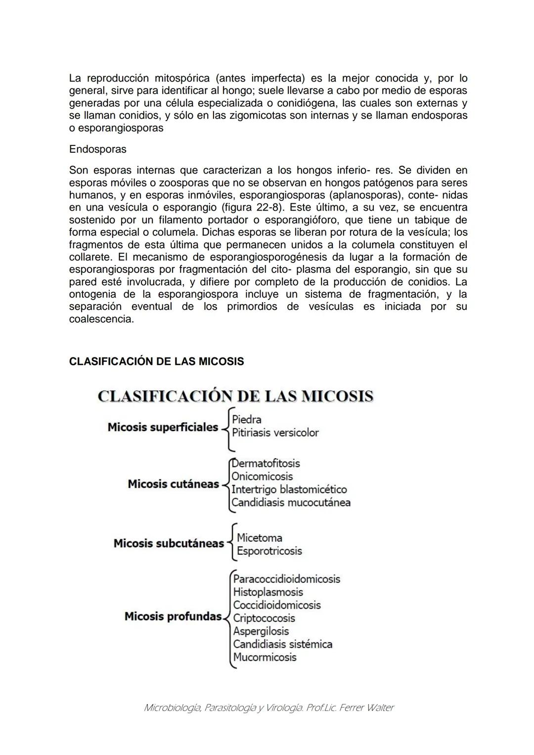 MICROBIOLOGÍA Y PARASITOLOGÍA
CARRERA: Técnico superior en enfermería
UNIDAD CURRICULAR: Microbiología y Parasitología
CURSO: 1º año "B"
DOC