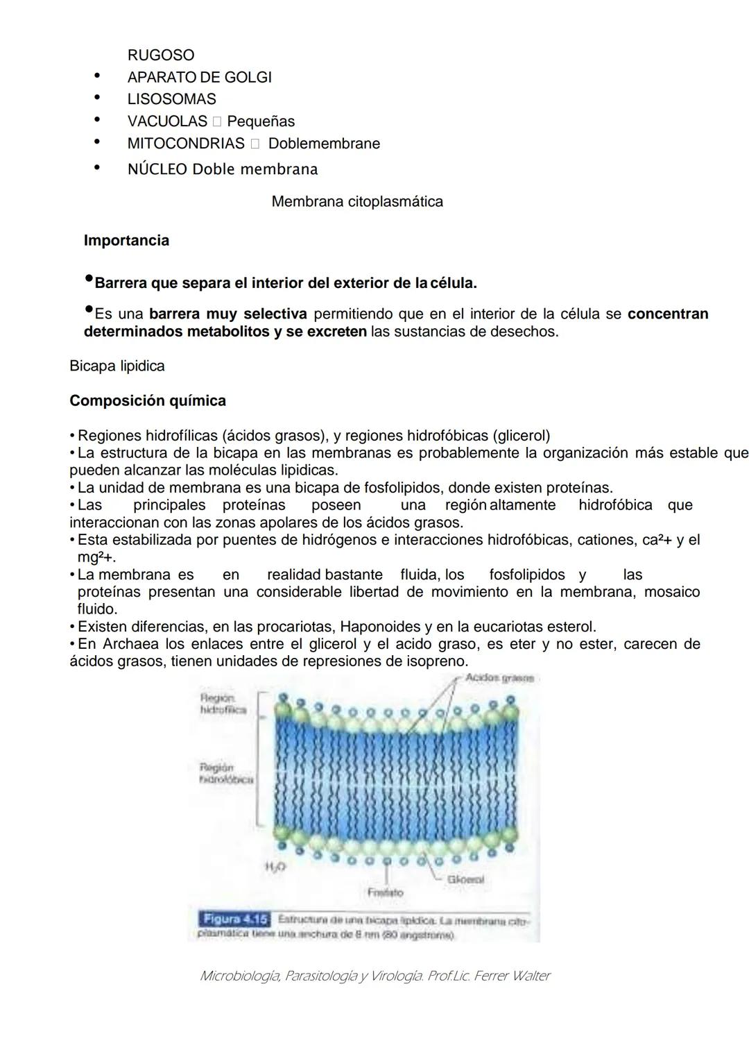 MICROBIOLOGÍA Y PARASITOLOGÍA
CARRERA: Técnico superior en enfermería
UNIDAD CURRICULAR: Microbiología y Parasitología
CURSO: 1º año "B"
DOC