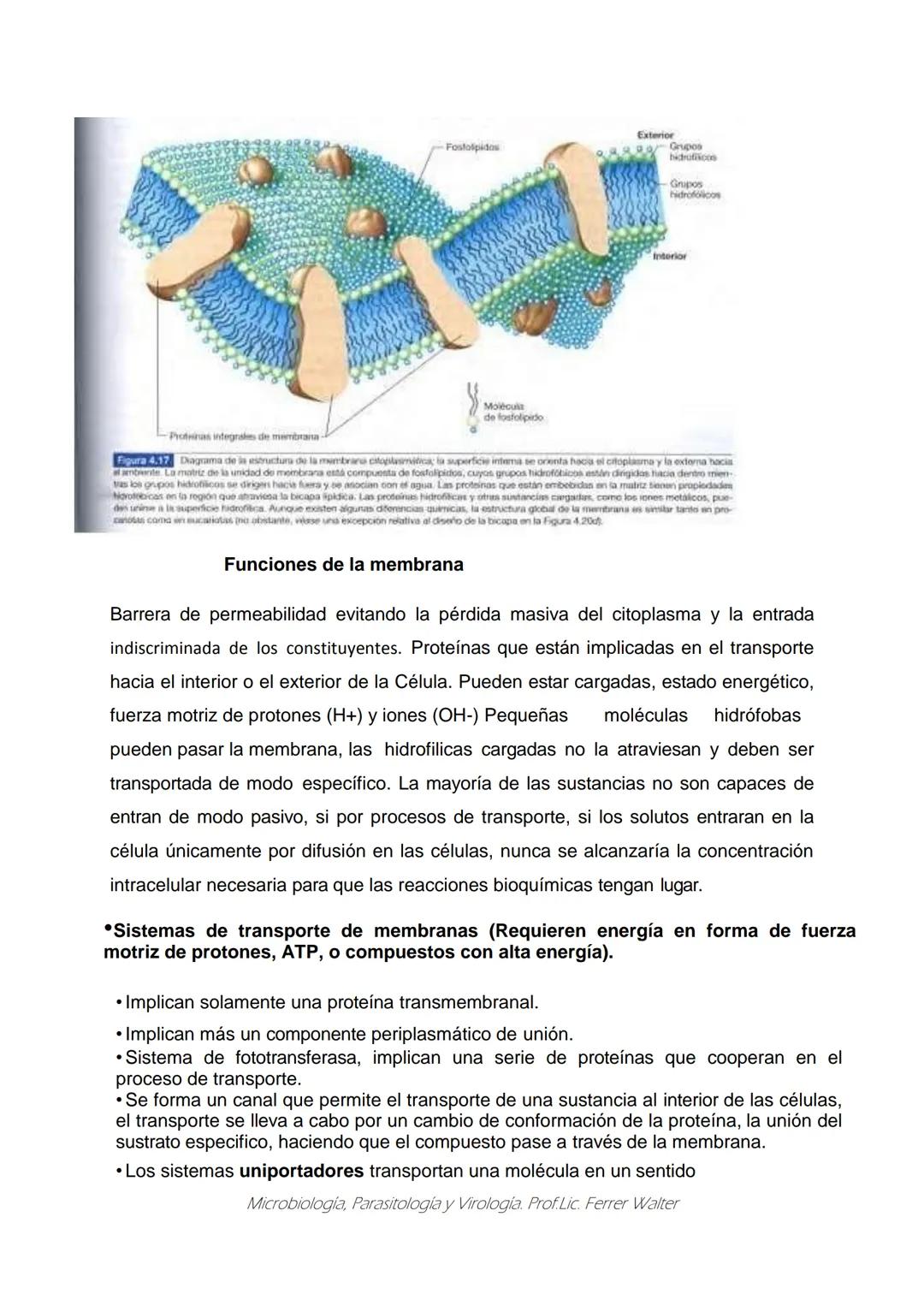 MICROBIOLOGÍA Y PARASITOLOGÍA
CARRERA: Técnico superior en enfermería
UNIDAD CURRICULAR: Microbiología y Parasitología
CURSO: 1º año "B"
DOC