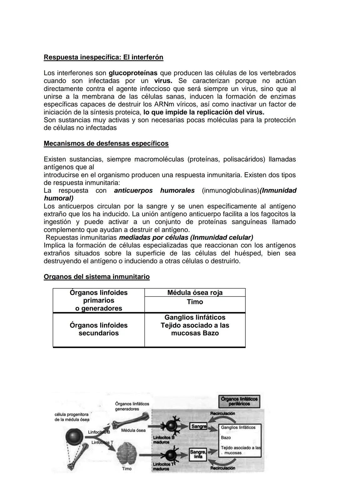 MICROBIOLOGÍA Y PARASITOLOGÍA
CARRERA: Técnico superior en enfermería
UNIDAD CURRICULAR: Microbiología y Parasitología
CURSO: 1º año "B"
DOC