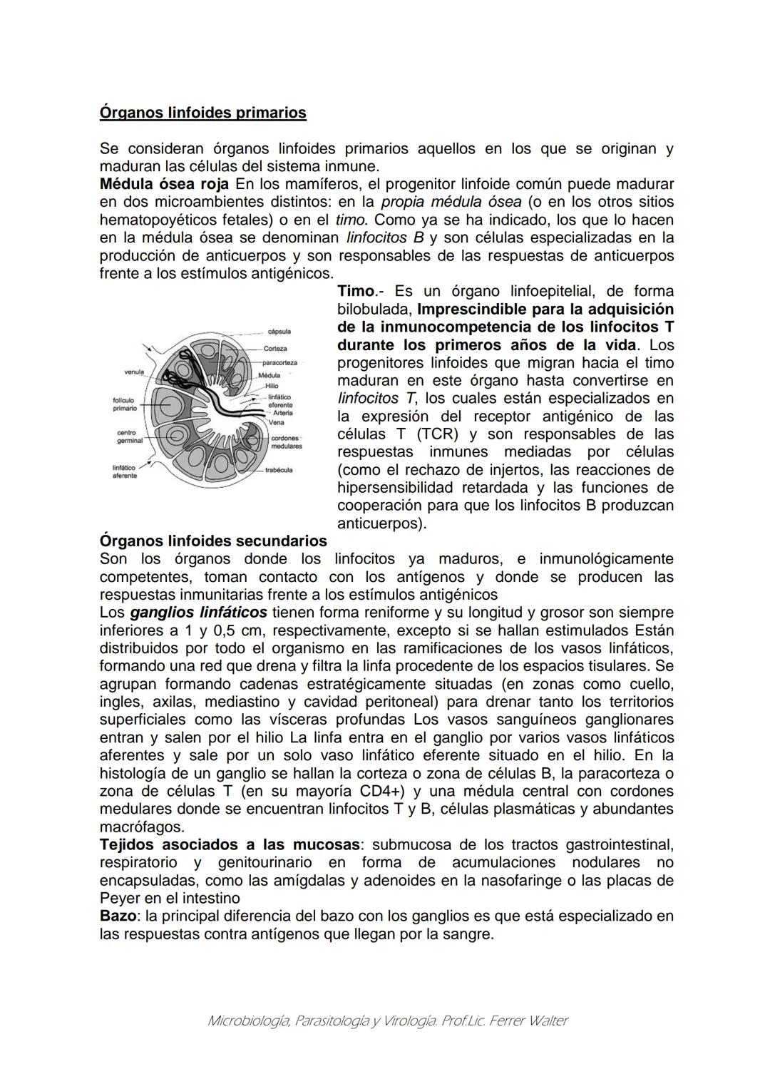 MICROBIOLOGÍA Y PARASITOLOGÍA
CARRERA: Técnico superior en enfermería
UNIDAD CURRICULAR: Microbiología y Parasitología
CURSO: 1º año "B"
DOC