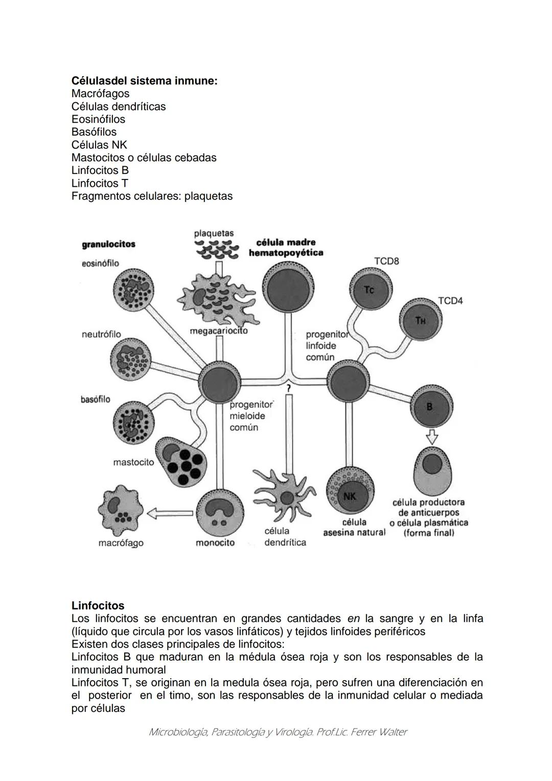 MICROBIOLOGÍA Y PARASITOLOGÍA
CARRERA: Técnico superior en enfermería
UNIDAD CURRICULAR: Microbiología y Parasitología
CURSO: 1º año "B"
DOC