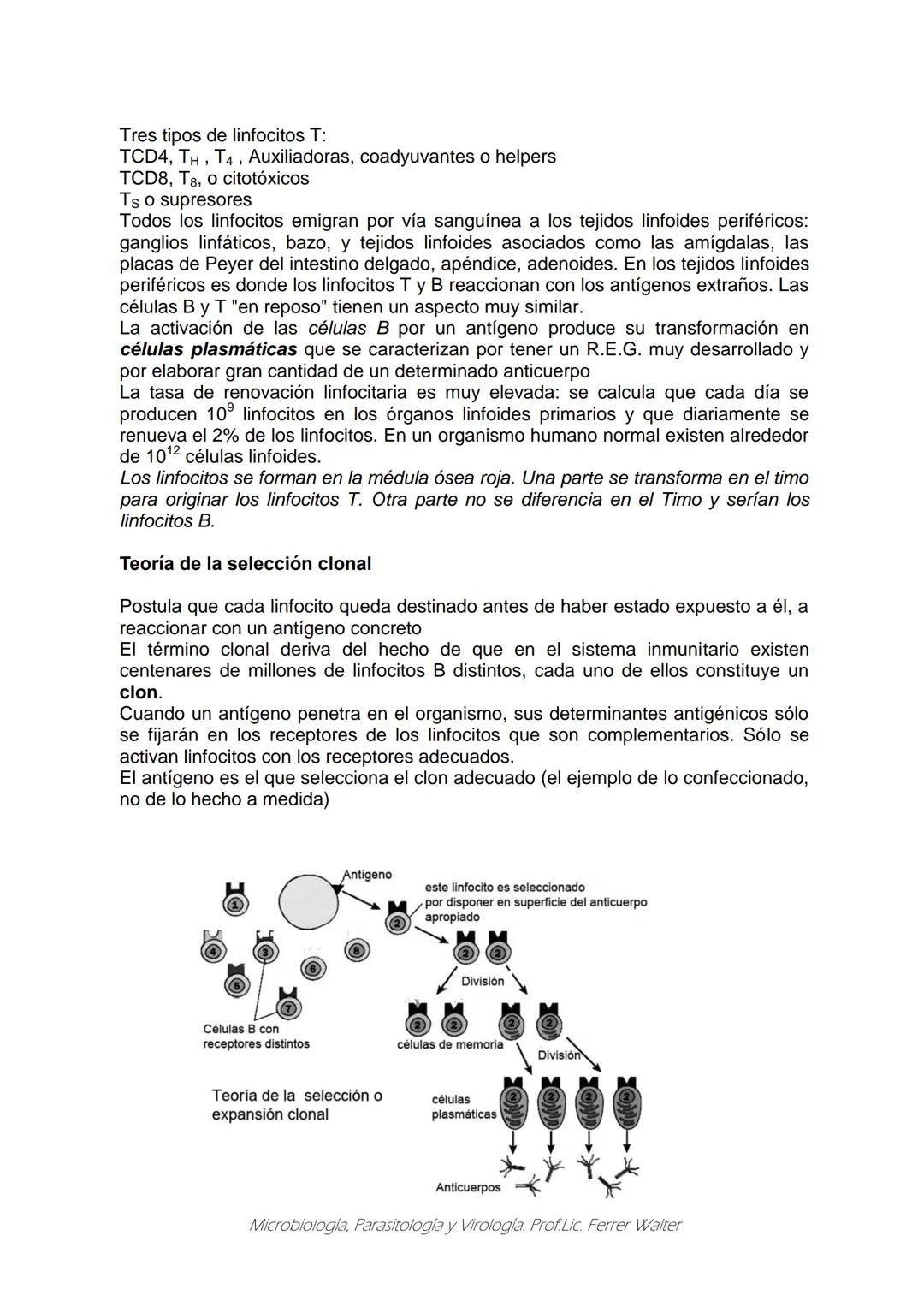 MICROBIOLOGÍA Y PARASITOLOGÍA
CARRERA: Técnico superior en enfermería
UNIDAD CURRICULAR: Microbiología y Parasitología
CURSO: 1º año "B"
DOC