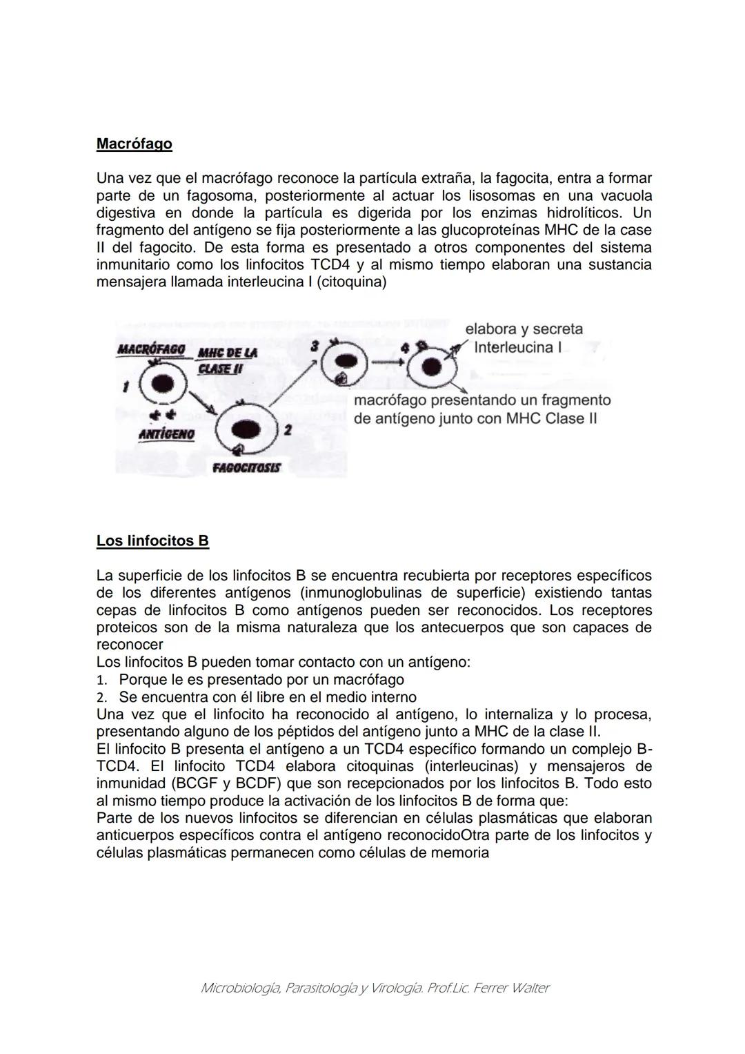 MICROBIOLOGÍA Y PARASITOLOGÍA
CARRERA: Técnico superior en enfermería
UNIDAD CURRICULAR: Microbiología y Parasitología
CURSO: 1º año "B"
DOC
