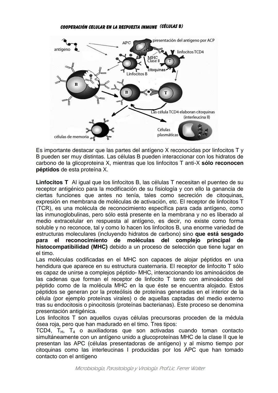 MICROBIOLOGÍA Y PARASITOLOGÍA
CARRERA: Técnico superior en enfermería
UNIDAD CURRICULAR: Microbiología y Parasitología
CURSO: 1º año "B"
DOC