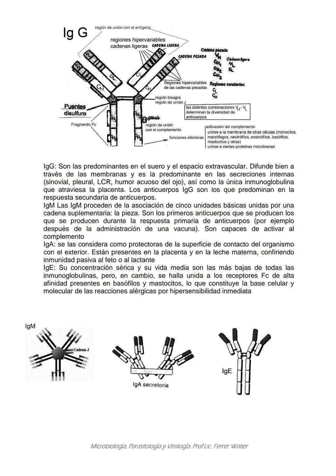 MICROBIOLOGÍA Y PARASITOLOGÍA
CARRERA: Técnico superior en enfermería
UNIDAD CURRICULAR: Microbiología y Parasitología
CURSO: 1º año "B"
DOC