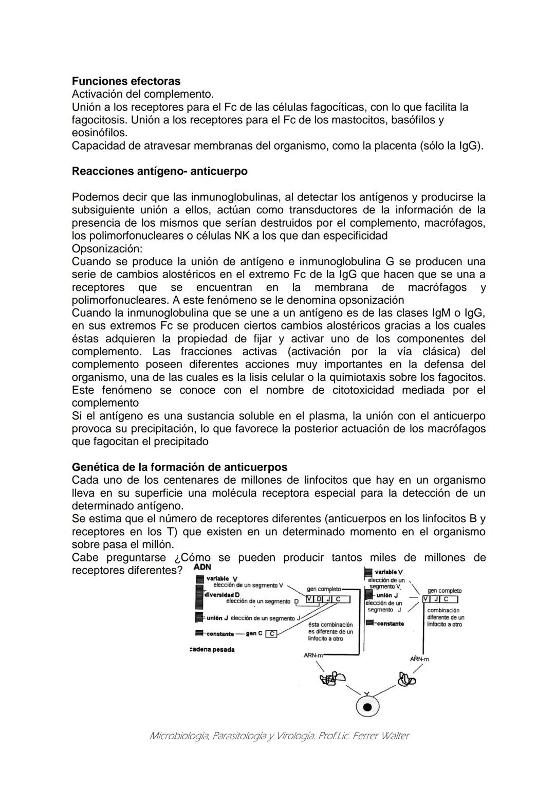 MICROBIOLOGÍA Y PARASITOLOGÍA
CARRERA: Técnico superior en enfermería
UNIDAD CURRICULAR: Microbiología y Parasitología
CURSO: 1º año "B"
DOC