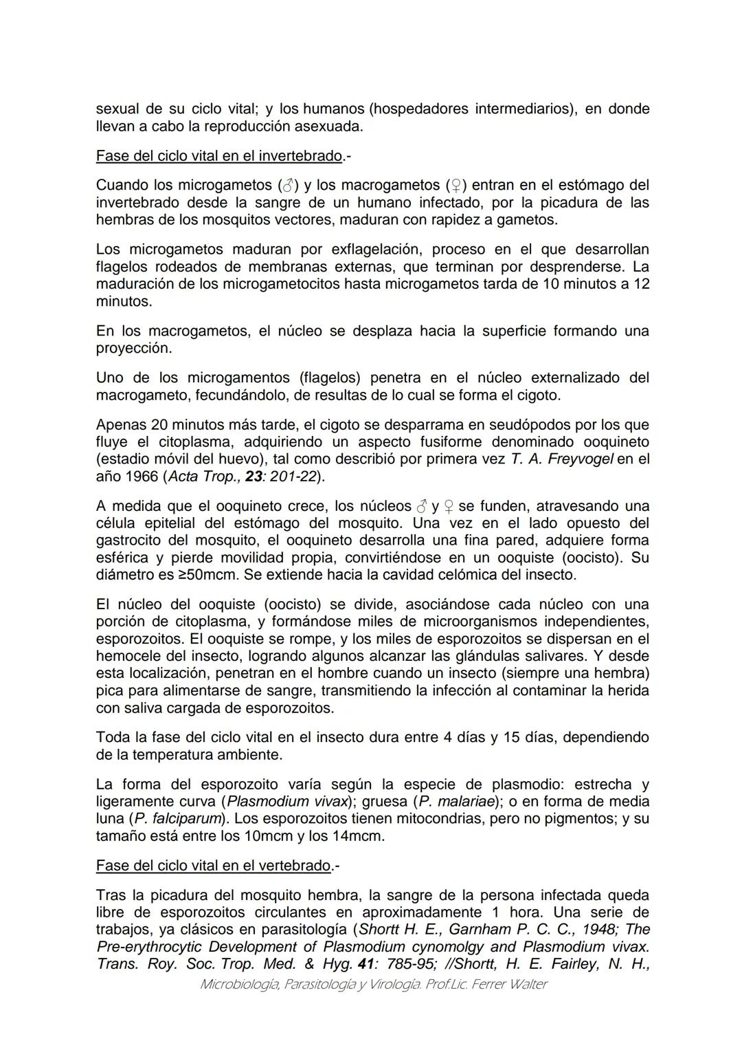 MICROBIOLOGÍA Y PARASITOLOGÍA
CARRERA: Técnico superior en enfermería
UNIDAD CURRICULAR: Microbiología y Parasitología
CURSO: 1º año "B"
DOC