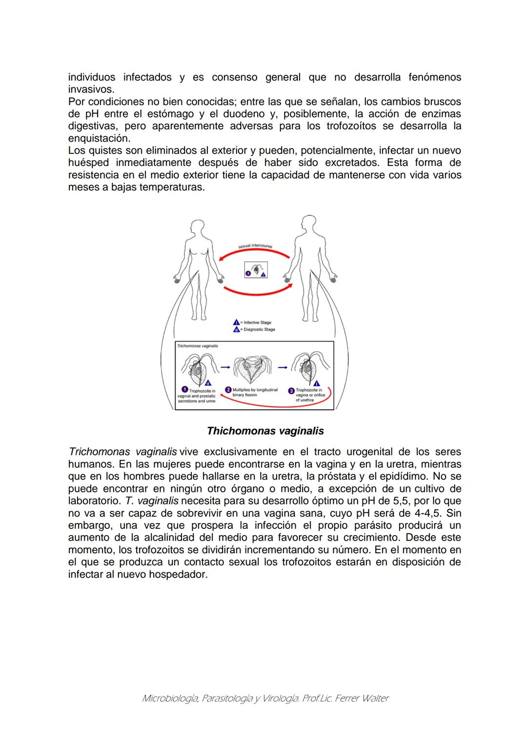 MICROBIOLOGÍA Y PARASITOLOGÍA
CARRERA: Técnico superior en enfermería
UNIDAD CURRICULAR: Microbiología y Parasitología
CURSO: 1º año "B"
DOC