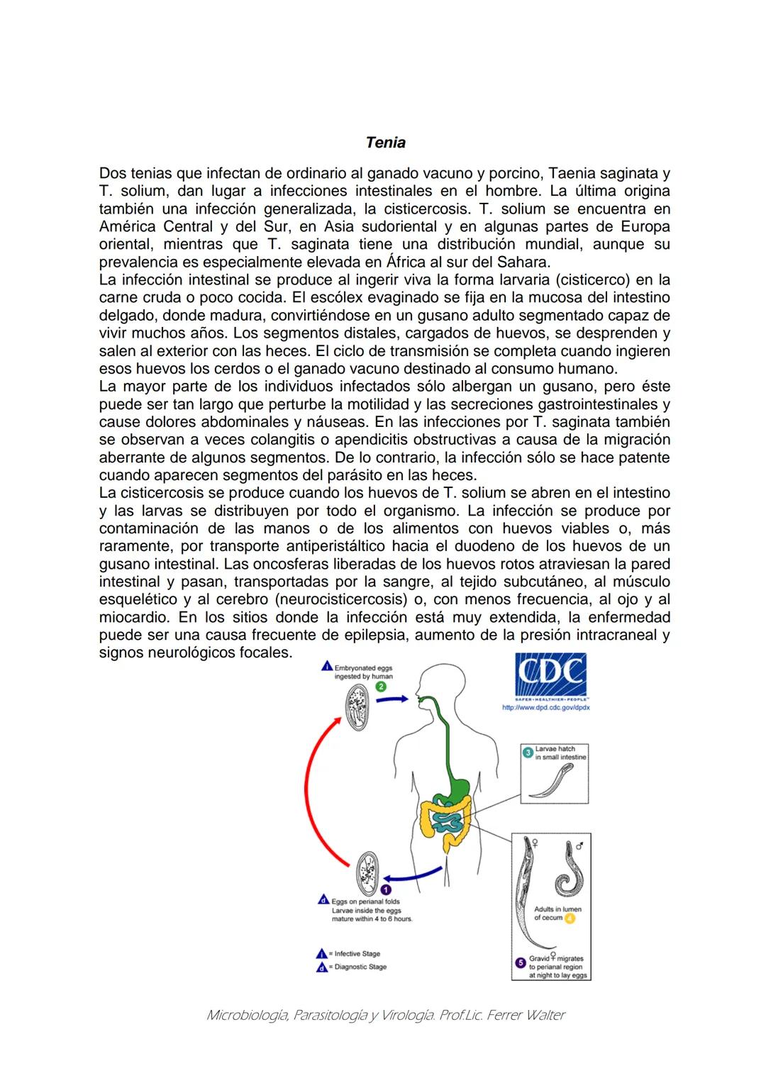 MICROBIOLOGÍA Y PARASITOLOGÍA
CARRERA: Técnico superior en enfermería
UNIDAD CURRICULAR: Microbiología y Parasitología
CURSO: 1º año "B"
DOC