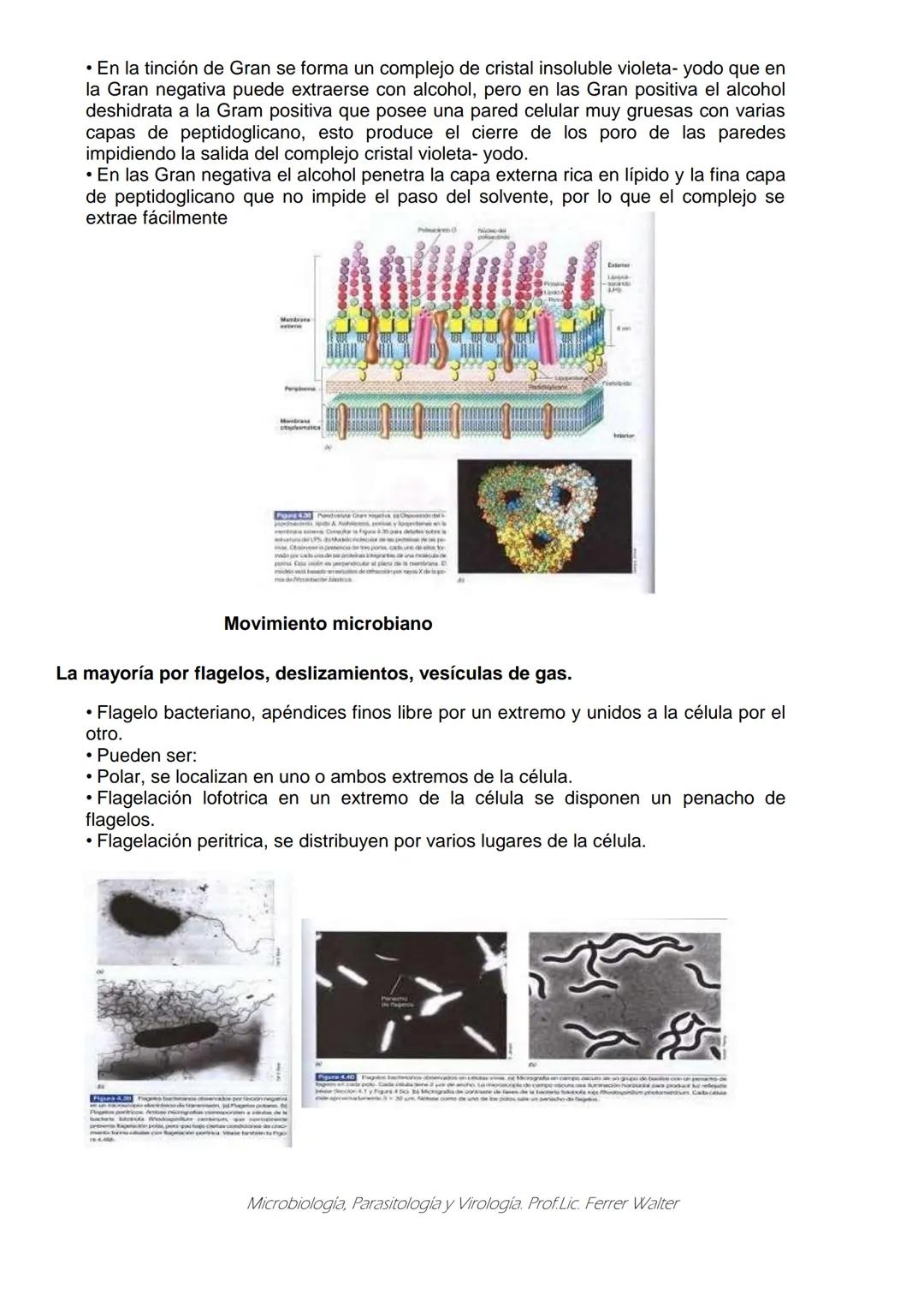 MICROBIOLOGÍA Y PARASITOLOGÍA
CARRERA: Técnico superior en enfermería
UNIDAD CURRICULAR: Microbiología y Parasitología
CURSO: 1º año "B"
DOC