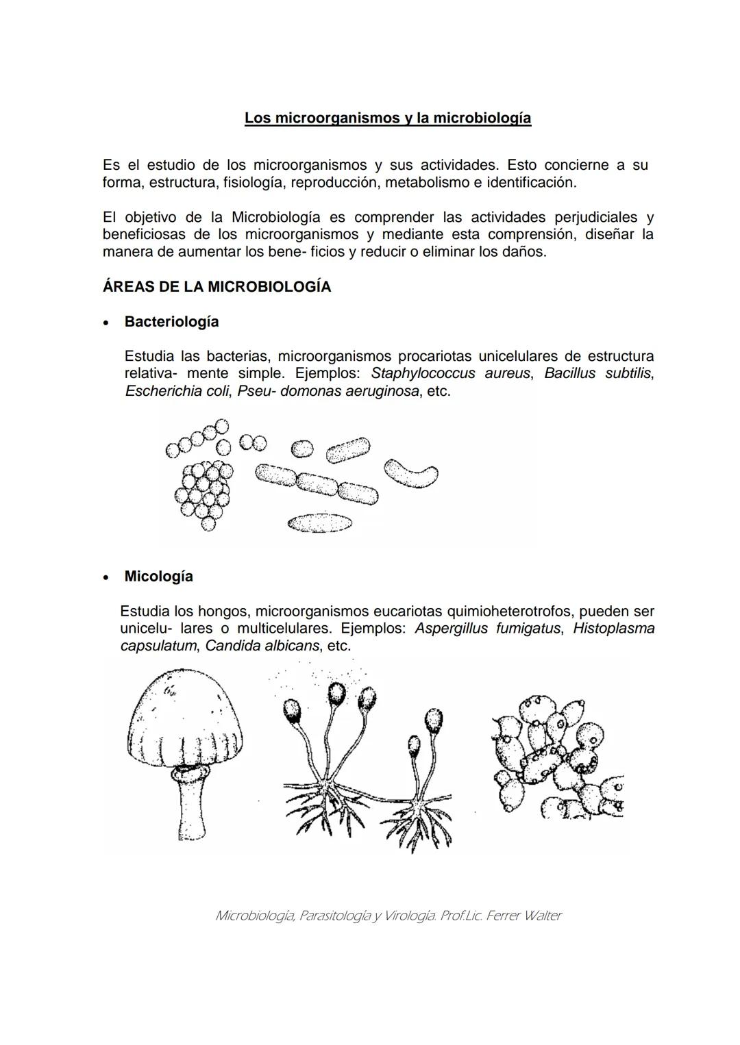 MICROBIOLOGÍA Y PARASITOLOGÍA
CARRERA: Técnico superior en enfermería
UNIDAD CURRICULAR: Microbiología y Parasitología
CURSO: 1º año "B"
DOC