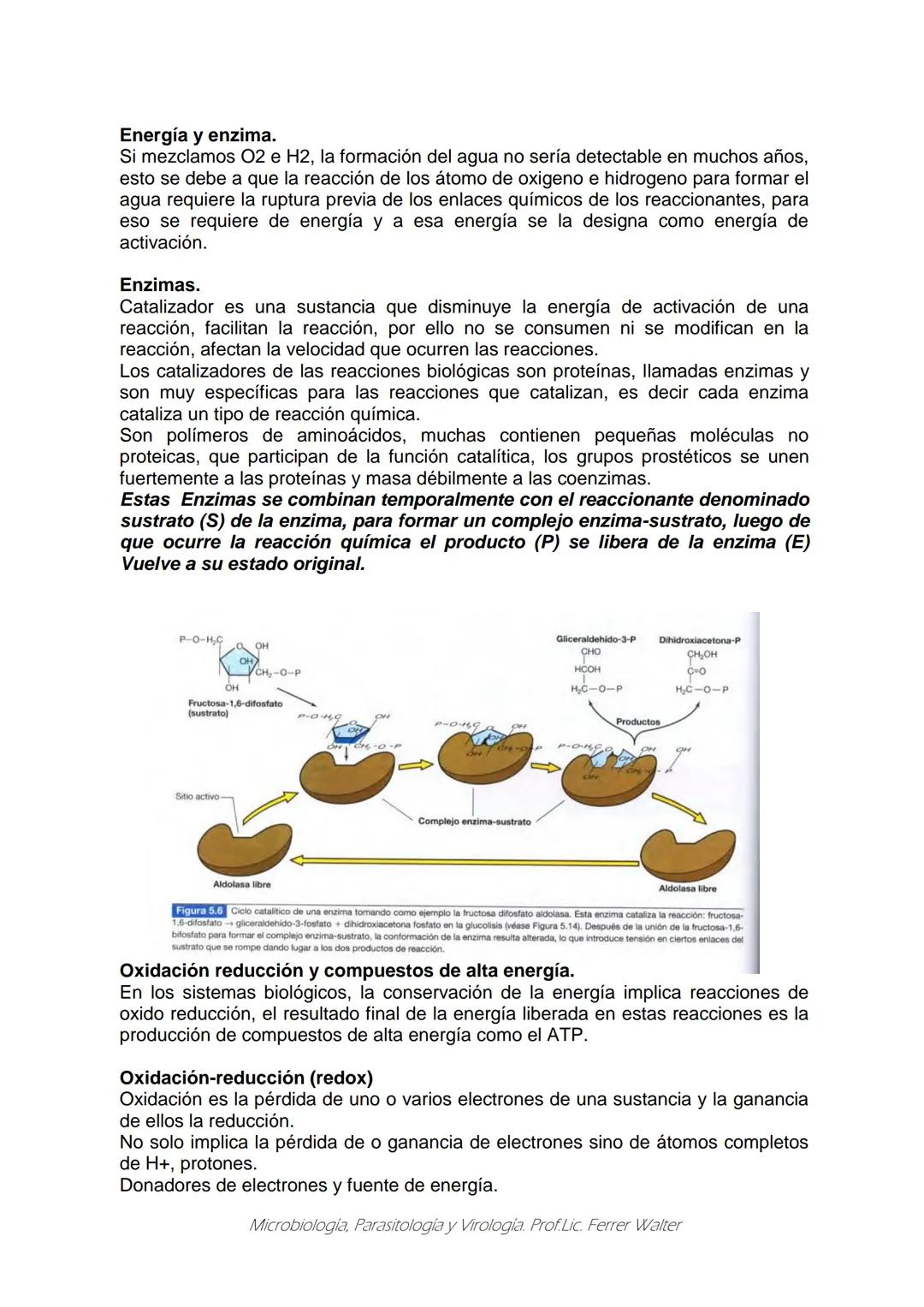 MICROBIOLOGÍA Y PARASITOLOGÍA
CARRERA: Técnico superior en enfermería
UNIDAD CURRICULAR: Microbiología y Parasitología
CURSO: 1º año "B"
DOC