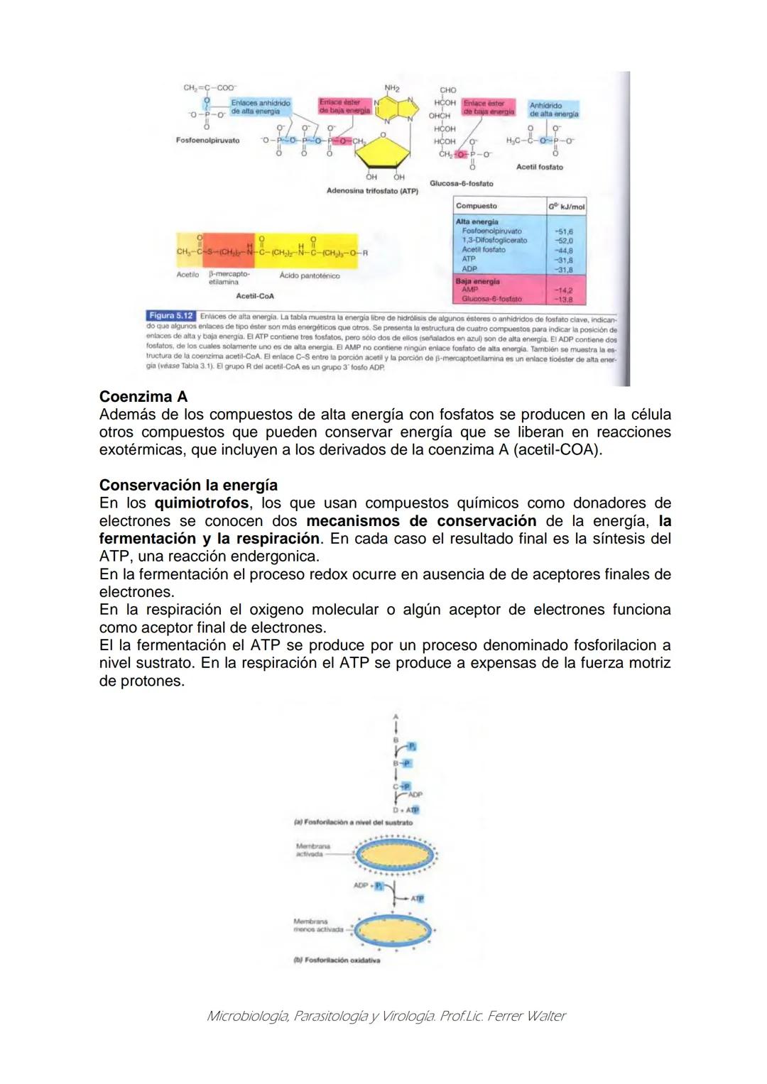 MICROBIOLOGÍA Y PARASITOLOGÍA
CARRERA: Técnico superior en enfermería
UNIDAD CURRICULAR: Microbiología y Parasitología
CURSO: 1º año "B"
DOC