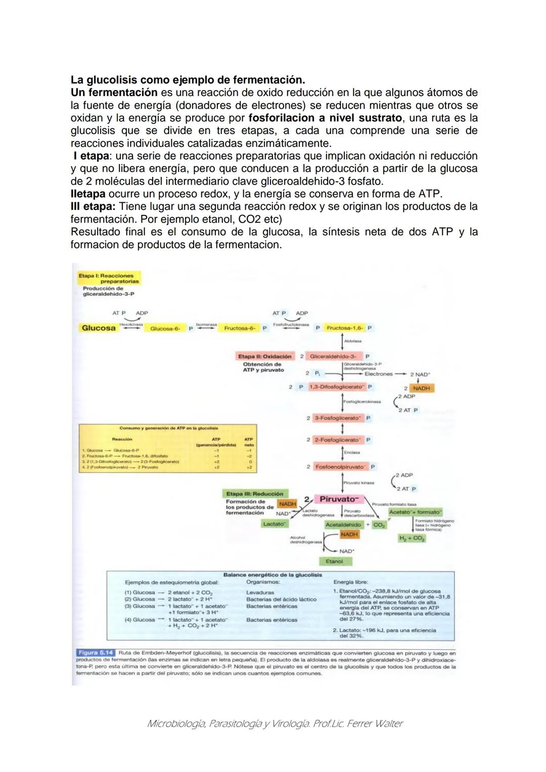 MICROBIOLOGÍA Y PARASITOLOGÍA
CARRERA: Técnico superior en enfermería
UNIDAD CURRICULAR: Microbiología y Parasitología
CURSO: 1º año "B"
DOC
