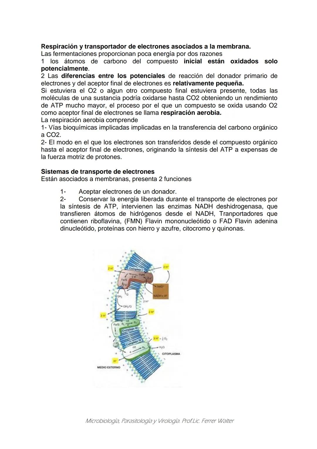 MICROBIOLOGÍA Y PARASITOLOGÍA
CARRERA: Técnico superior en enfermería
UNIDAD CURRICULAR: Microbiología y Parasitología
CURSO: 1º año "B"
DOC
