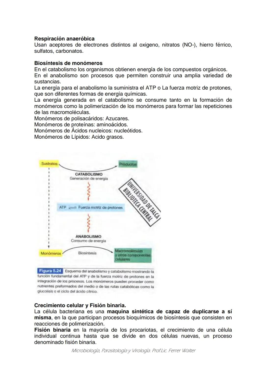 MICROBIOLOGÍA Y PARASITOLOGÍA
CARRERA: Técnico superior en enfermería
UNIDAD CURRICULAR: Microbiología y Parasitología
CURSO: 1º año "B"
DOC