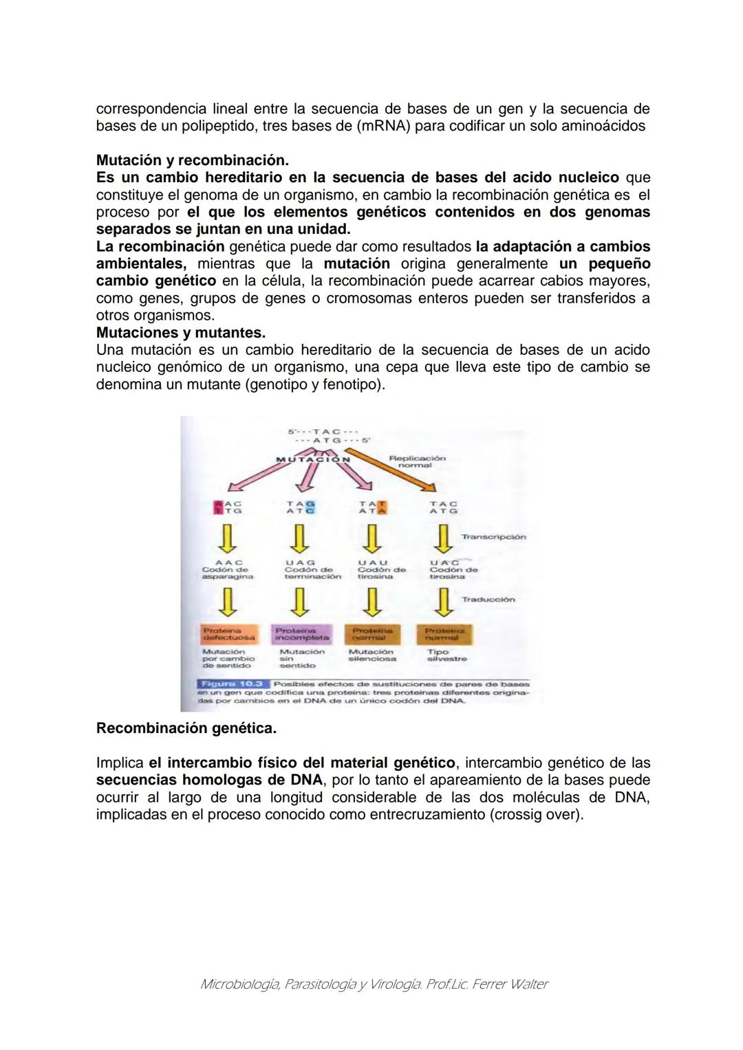 MICROBIOLOGÍA Y PARASITOLOGÍA
CARRERA: Técnico superior en enfermería
UNIDAD CURRICULAR: Microbiología y Parasitología
CURSO: 1º año "B"
DOC