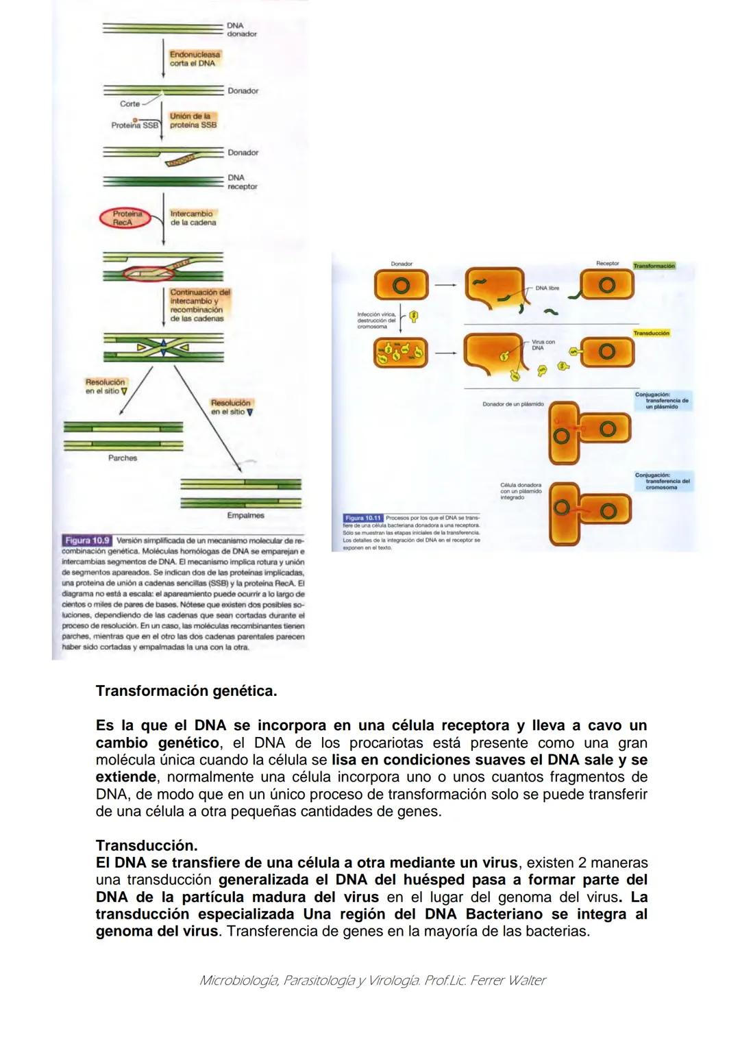 MICROBIOLOGÍA Y PARASITOLOGÍA
CARRERA: Técnico superior en enfermería
UNIDAD CURRICULAR: Microbiología y Parasitología
CURSO: 1º año "B"
DOC