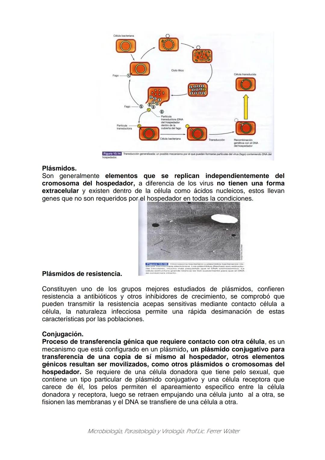 MICROBIOLOGÍA Y PARASITOLOGÍA
CARRERA: Técnico superior en enfermería
UNIDAD CURRICULAR: Microbiología y Parasitología
CURSO: 1º año "B"
DOC
