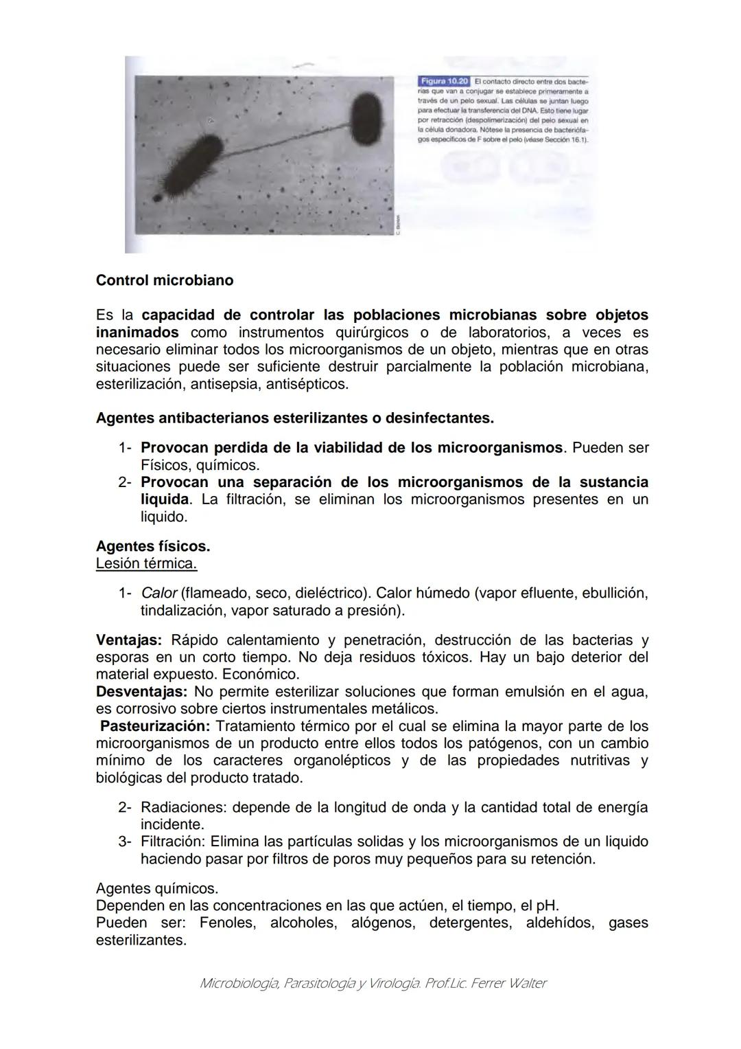 MICROBIOLOGÍA Y PARASITOLOGÍA
CARRERA: Técnico superior en enfermería
UNIDAD CURRICULAR: Microbiología y Parasitología
CURSO: 1º año "B"
DOC