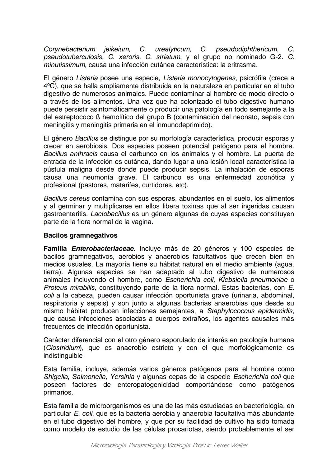 MICROBIOLOGÍA Y PARASITOLOGÍA
CARRERA: Técnico superior en enfermería
UNIDAD CURRICULAR: Microbiología y Parasitología
CURSO: 1º año "B"
DOC