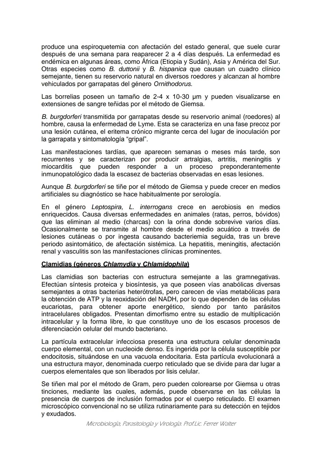 MICROBIOLOGÍA Y PARASITOLOGÍA
CARRERA: Técnico superior en enfermería
UNIDAD CURRICULAR: Microbiología y Parasitología
CURSO: 1º año "B"
DOC