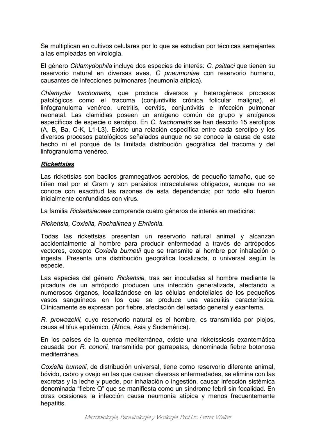 MICROBIOLOGÍA Y PARASITOLOGÍA
CARRERA: Técnico superior en enfermería
UNIDAD CURRICULAR: Microbiología y Parasitología
CURSO: 1º año "B"
DOC