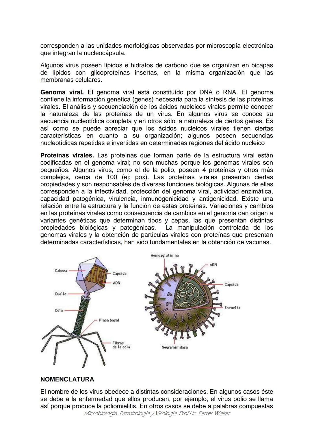 MICROBIOLOGÍA Y PARASITOLOGÍA
CARRERA: Técnico superior en enfermería
UNIDAD CURRICULAR: Microbiología y Parasitología
CURSO: 1º año "B"
DOC
