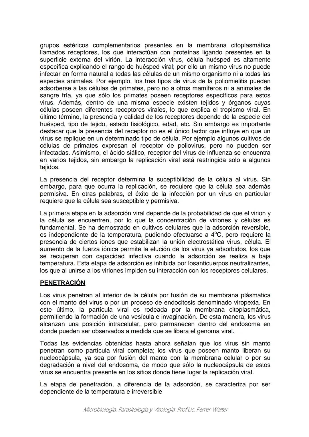 MICROBIOLOGÍA Y PARASITOLOGÍA
CARRERA: Técnico superior en enfermería
UNIDAD CURRICULAR: Microbiología y Parasitología
CURSO: 1º año "B"
DOC