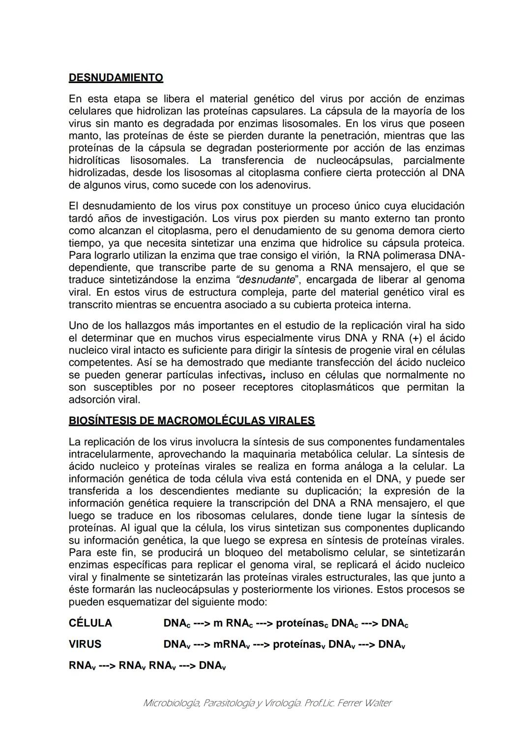 MICROBIOLOGÍA Y PARASITOLOGÍA
CARRERA: Técnico superior en enfermería
UNIDAD CURRICULAR: Microbiología y Parasitología
CURSO: 1º año "B"
DOC