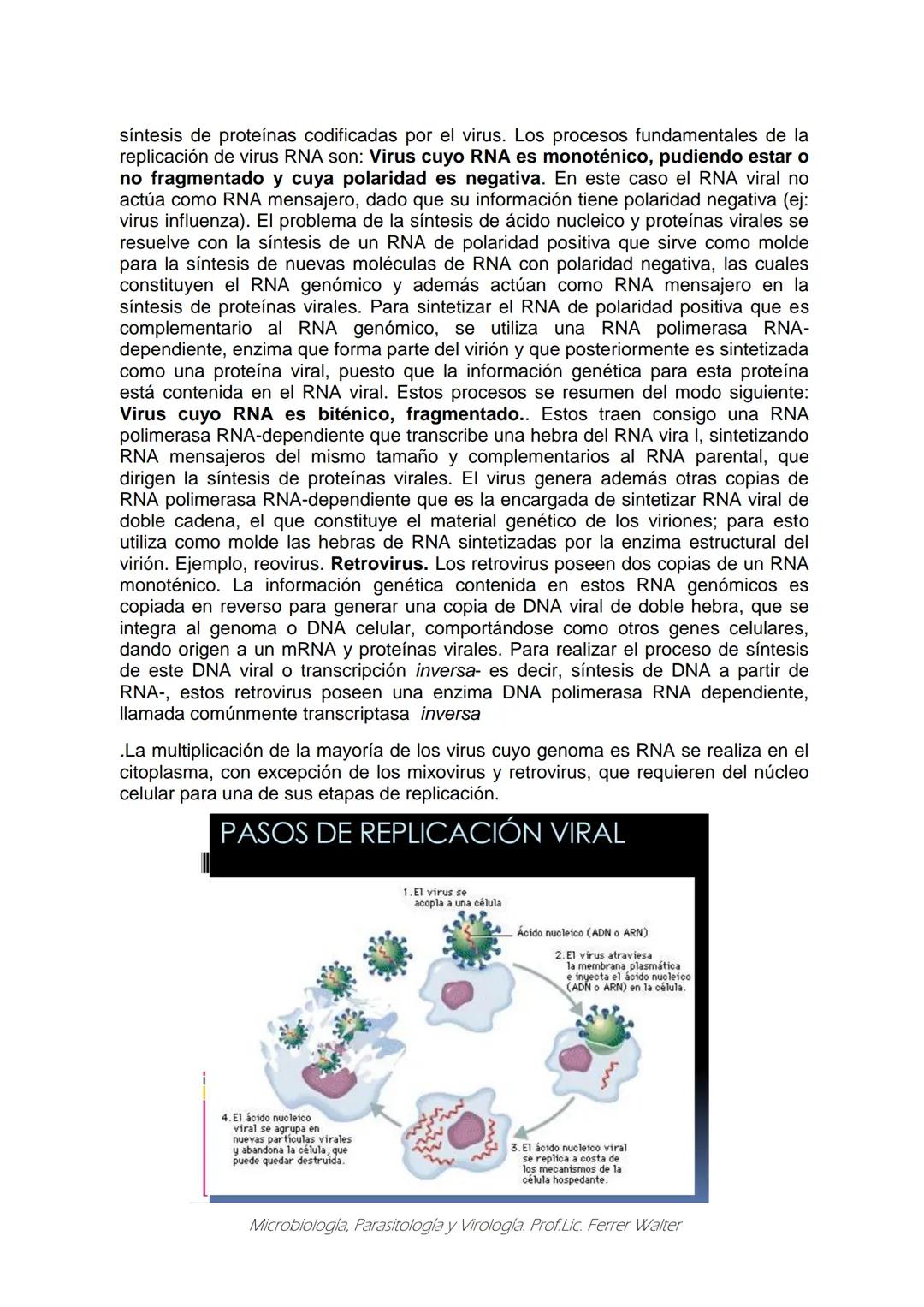 MICROBIOLOGÍA Y PARASITOLOGÍA
CARRERA: Técnico superior en enfermería
UNIDAD CURRICULAR: Microbiología y Parasitología
CURSO: 1º año "B"
DOC