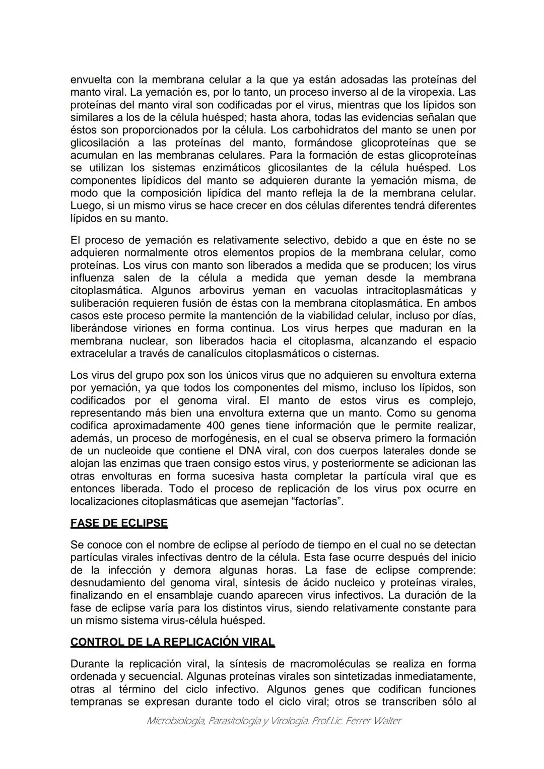 MICROBIOLOGÍA Y PARASITOLOGÍA
CARRERA: Técnico superior en enfermería
UNIDAD CURRICULAR: Microbiología y Parasitología
CURSO: 1º año "B"
DOC