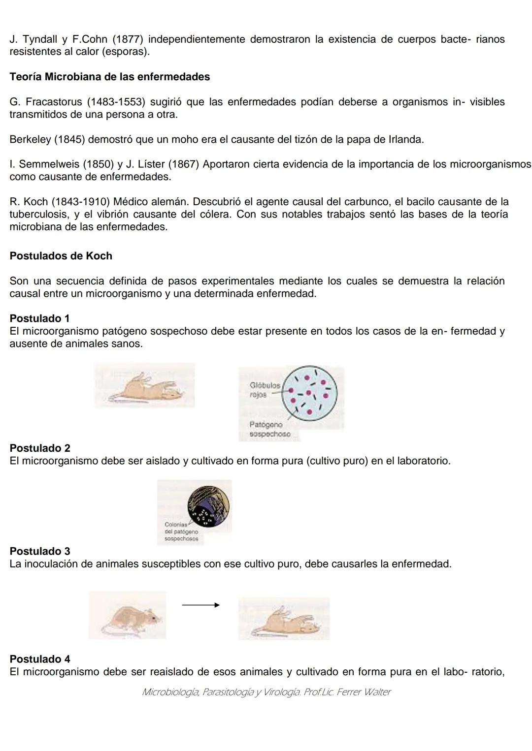 MICROBIOLOGÍA Y PARASITOLOGÍA
CARRERA: Técnico superior en enfermería
UNIDAD CURRICULAR: Microbiología y Parasitología
CURSO: 1º año "B"
DOC
