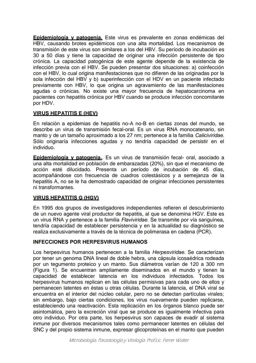 MICROBIOLOGÍA Y PARASITOLOGÍA
CARRERA: Técnico superior en enfermería
UNIDAD CURRICULAR: Microbiología y Parasitología
CURSO: 1º año "B"
DOC