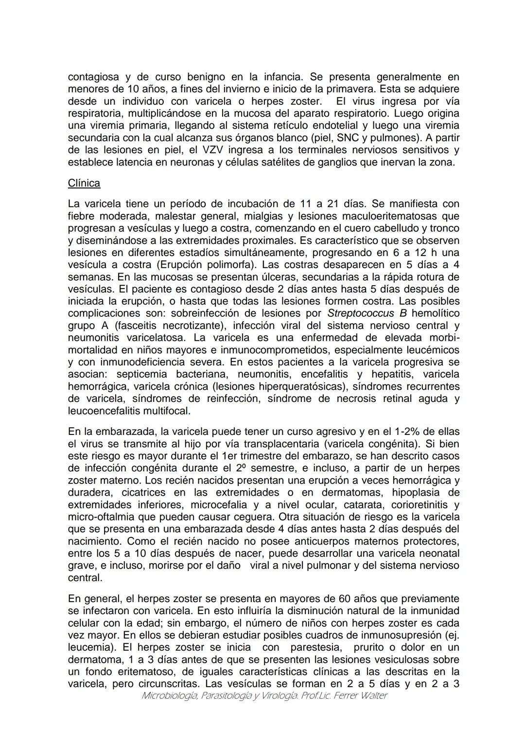 MICROBIOLOGÍA Y PARASITOLOGÍA
CARRERA: Técnico superior en enfermería
UNIDAD CURRICULAR: Microbiología y Parasitología
CURSO: 1º año "B"
DOC