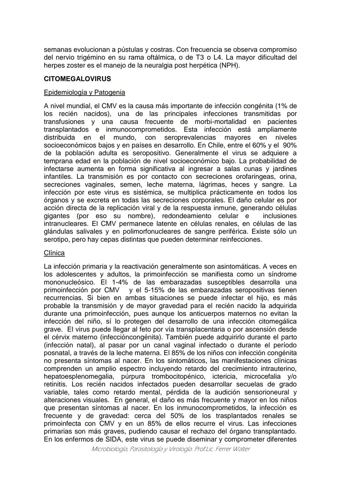 MICROBIOLOGÍA Y PARASITOLOGÍA
CARRERA: Técnico superior en enfermería
UNIDAD CURRICULAR: Microbiología y Parasitología
CURSO: 1º año "B"
DOC