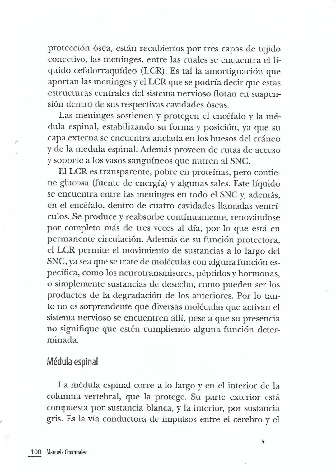 El sistema nervioso central
El SNC cumple con las más altas funciones del sistema ner-
vioso, ya que es el responsable de las necesidades vi