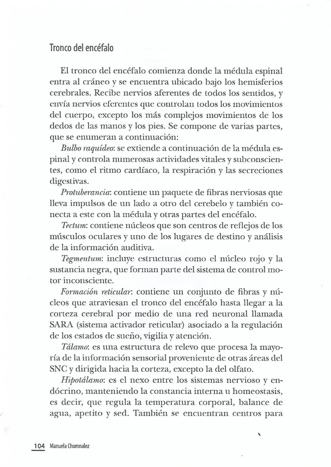 El sistema nervioso central
El SNC cumple con las más altas funciones del sistema ner-
vioso, ya que es el responsable de las necesidades vi