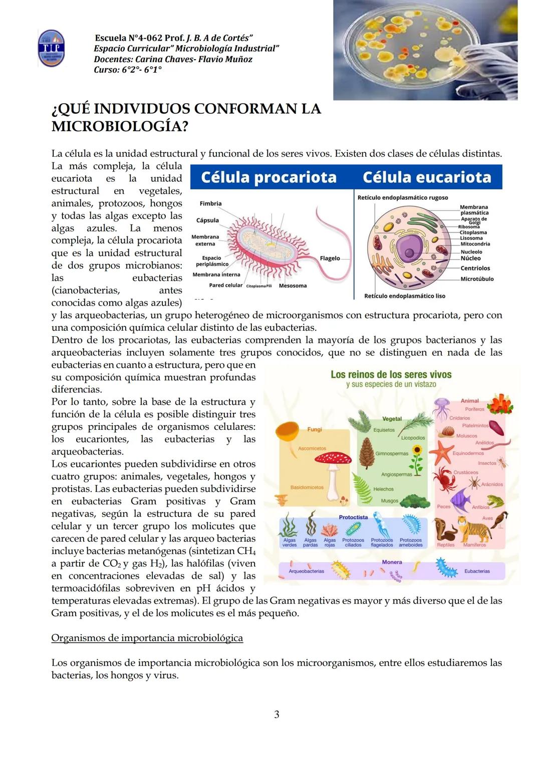 # CUADERNILLO DE
# MICROBIOLOGIA
# INDUSTRIAL
Nombre:
Curso:
Escuela: N°4062 Juana B. Albornoz de Cortes
Profesores: Carina Chaves- Flavio